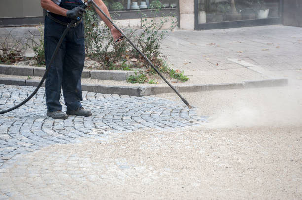 Best Driveway Pressure Washing  in Franklin Furnace, OH